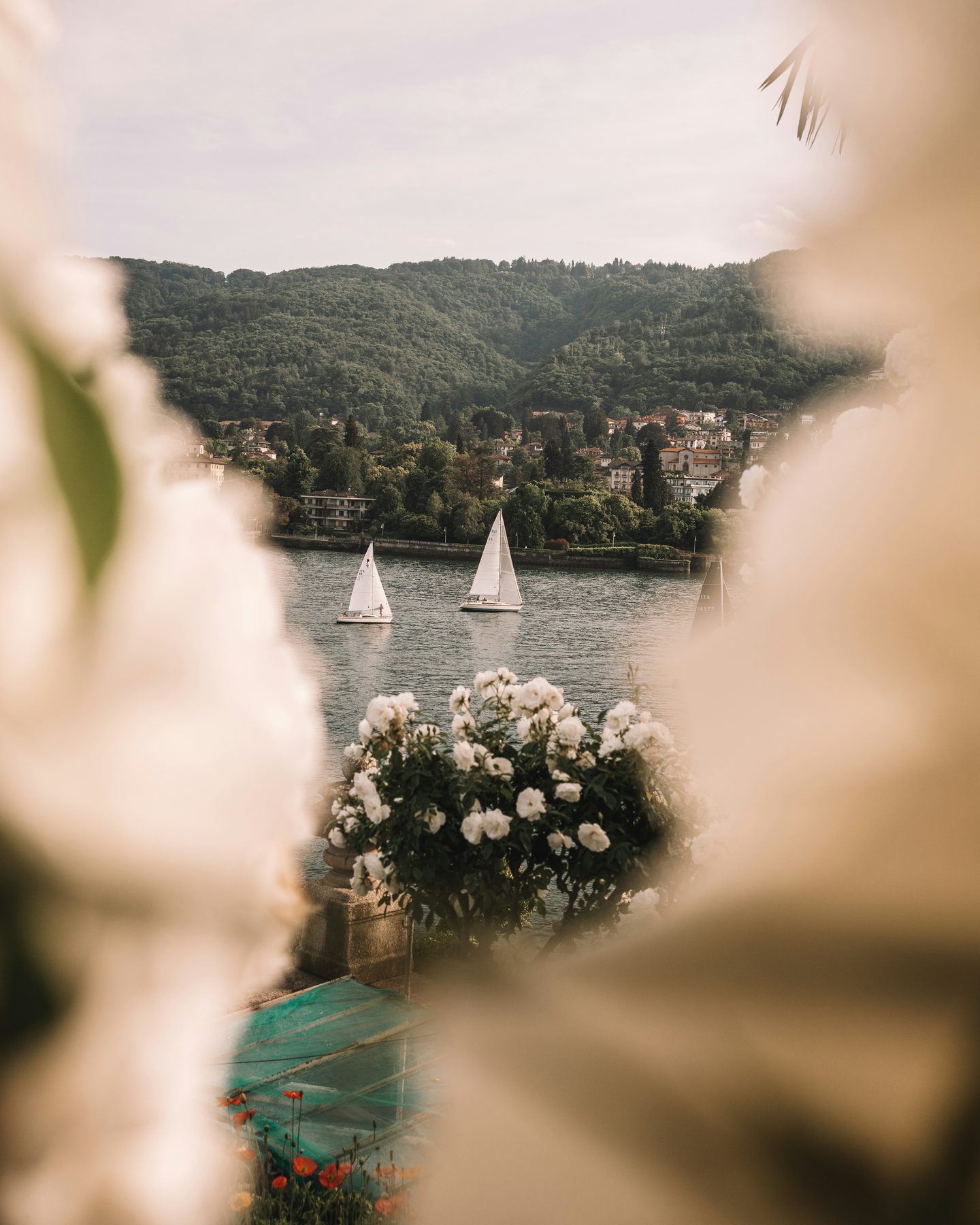 Sailboats on a lake, framed by flowers