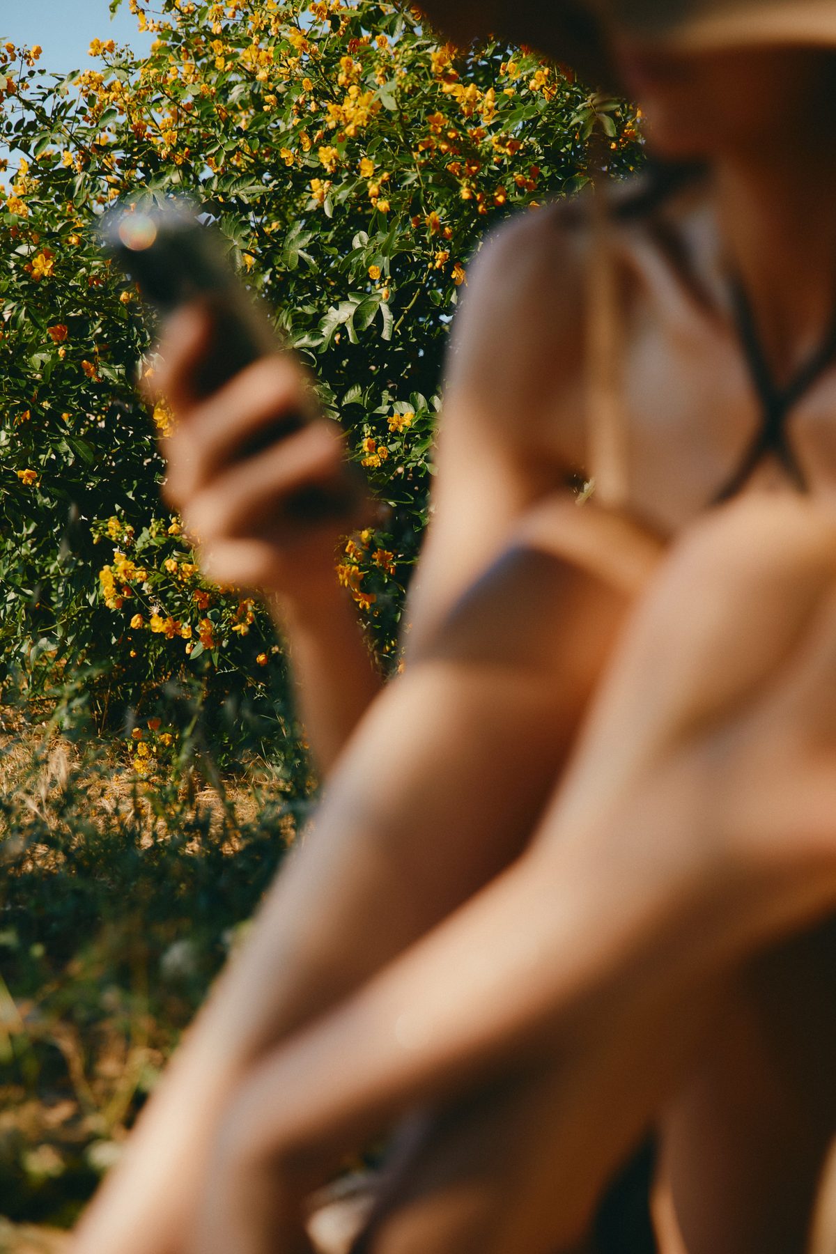 A phone held in a garden